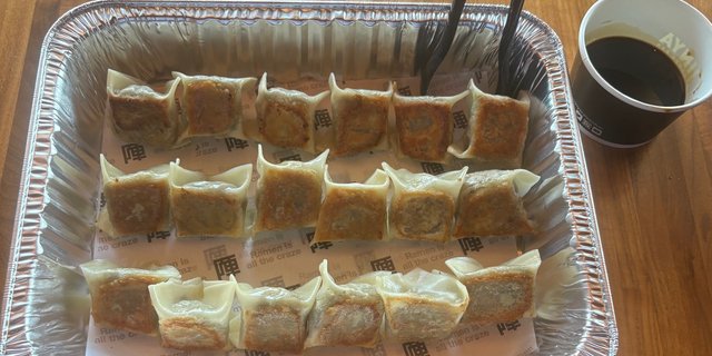Impossible Gyoza Tray