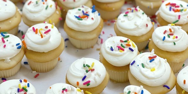 Assorted Mini Cupcake Tray