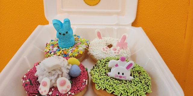 Bunny Donut Collection (Box of 4)