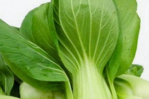 Steamed Bok Choy