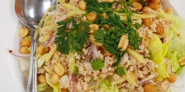 Nam Sod Salad