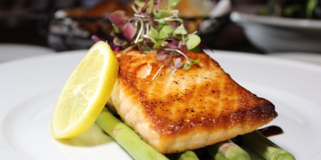 Salmon