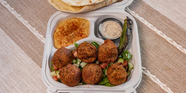 Falafel Plate