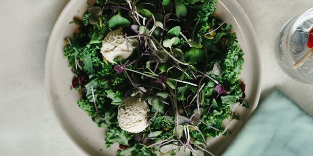Kale & Micro Green Salad