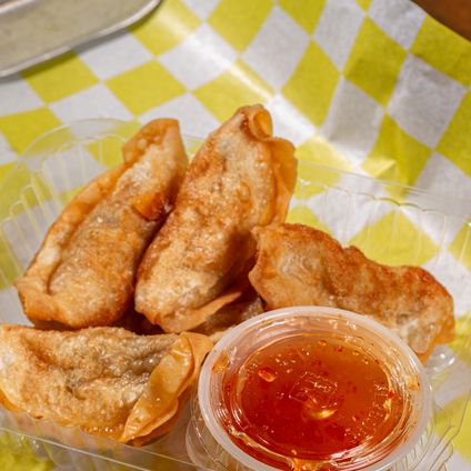 Fried Dumpling Tray