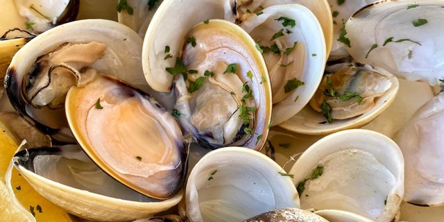 Steamed Clams