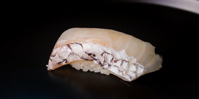 Red Snapper