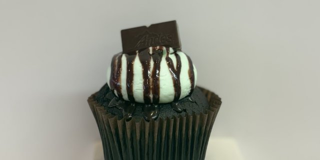 Mint Chocolate Cupcake