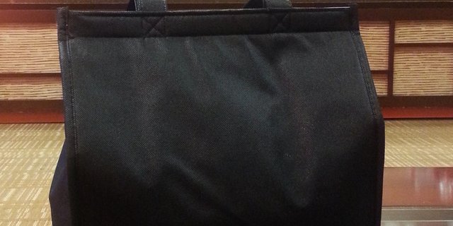 Insulated Bag w/ Dry Ice
