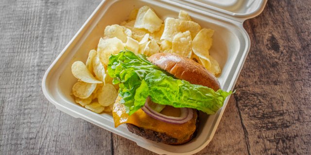 Bison Burger