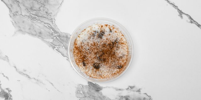 Rice Pudding