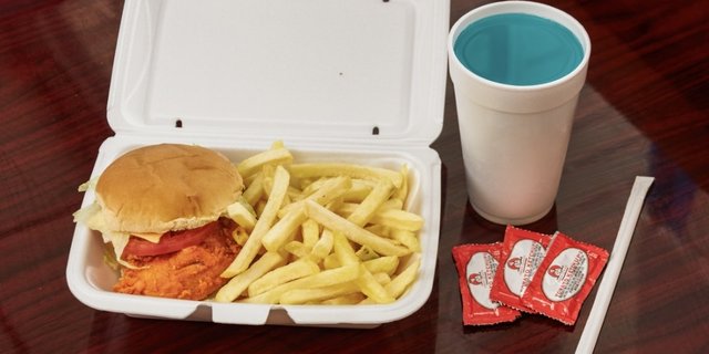 Chicken Burger w/ Fries