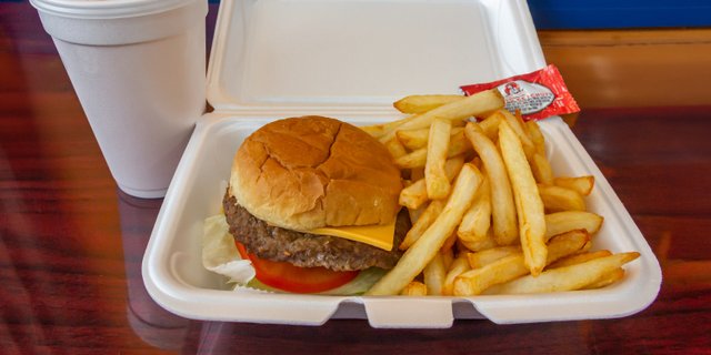 Cheeseburger w/ Fries