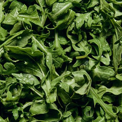 Arugula