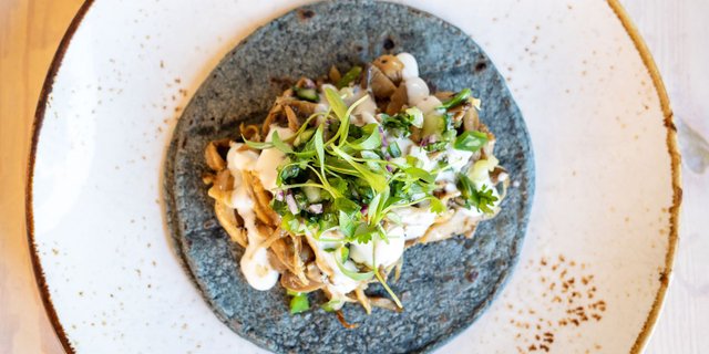 Vegan Mushroom Carnitas Taco