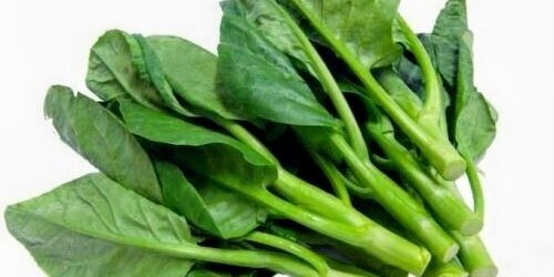 Steamed Chinese Broccoli