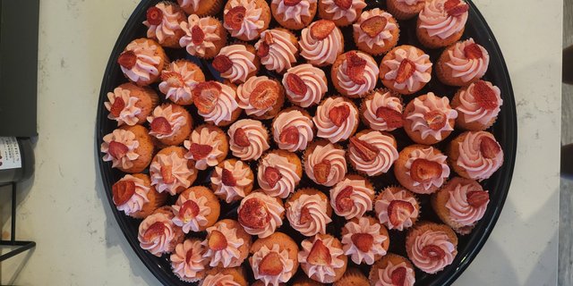 Vegan Mini Cupcake Platter