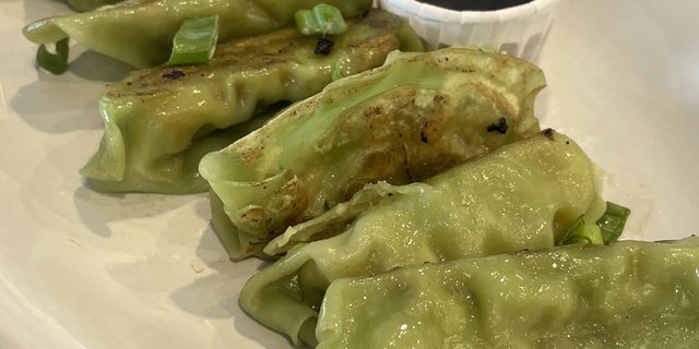 Steamed Vegetable Gyoza Dumplings Tray