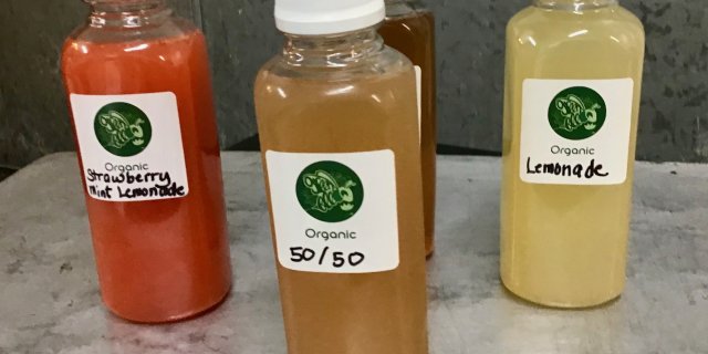 50/50 Tea & Lemonade