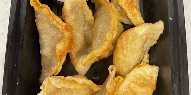 Fried Dumplings