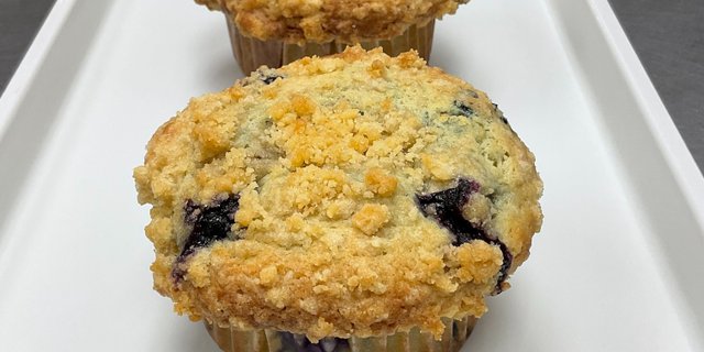 Blueberry Muffin