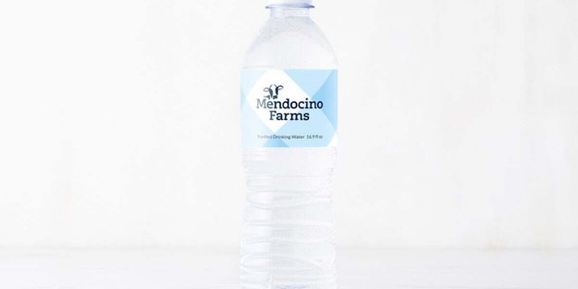 Bottled Water