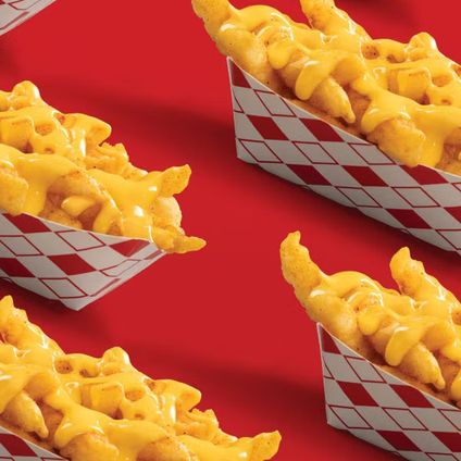 Cheese Fries Bundle