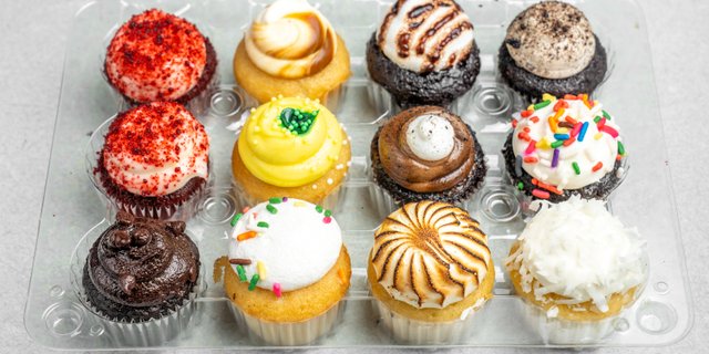 Premium Assorted Mini Cupcakes