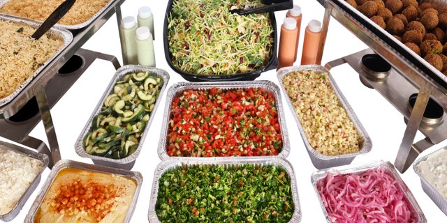falafel (vegetarian) spread