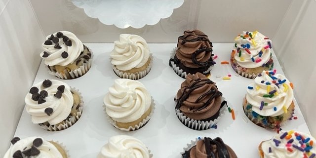 Gluten-Free Vegan Mini Cupcake