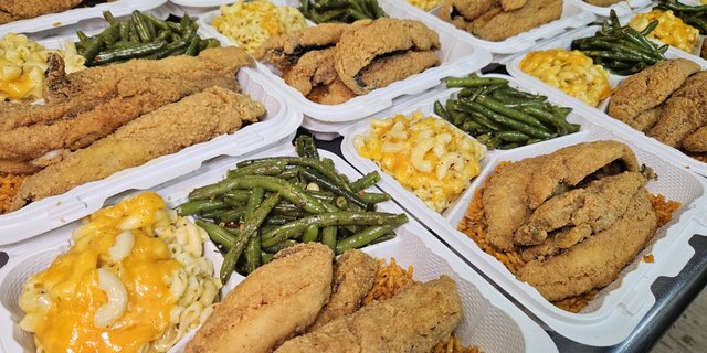 Fish Individual Meals