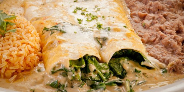 Vegetarian Enchiladas Dinner Plate