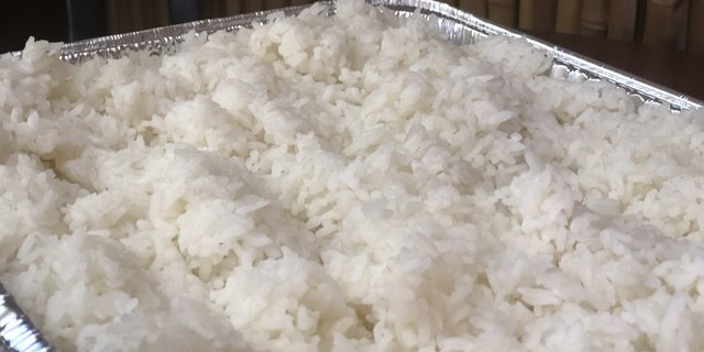 Fresh Steamed Rice