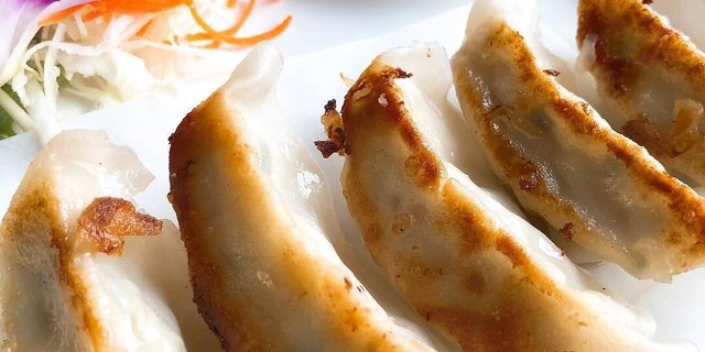 Gyoza Tray