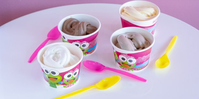 Frozen Yogurt Cup