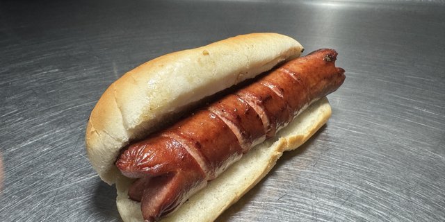 All American Dog