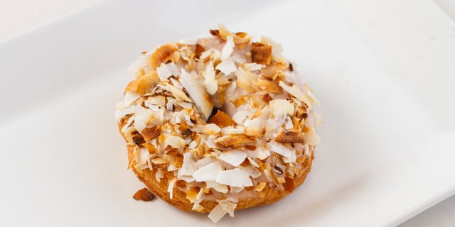 Toasted Coconut Doughnut