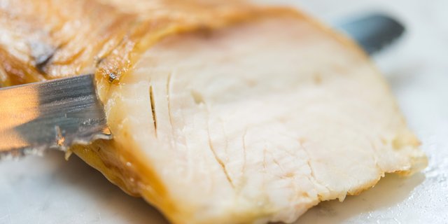 Sturgeon