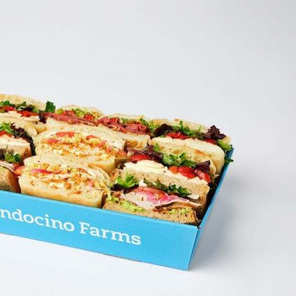 Mini Sandwich Tray