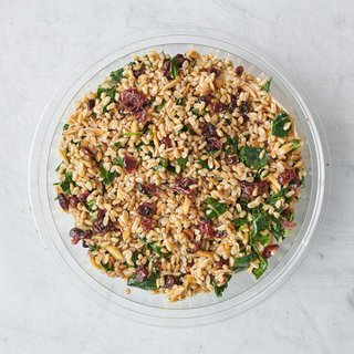 Farro Wheat