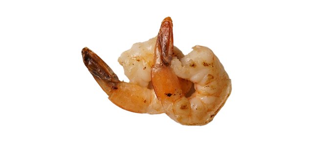 Shrimp