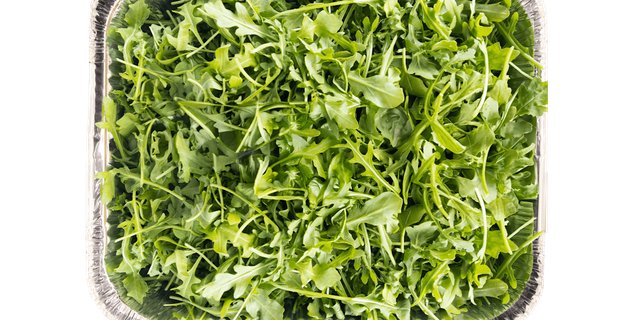 Arugula