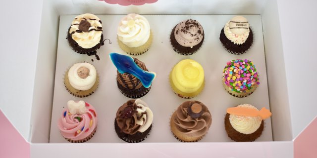 Dozen Mini Cupcakes