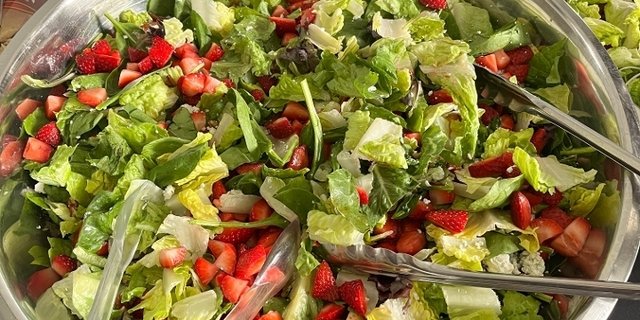 Big Bowl of Salad