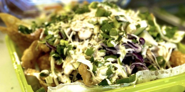 Loaded Wonton Nachos