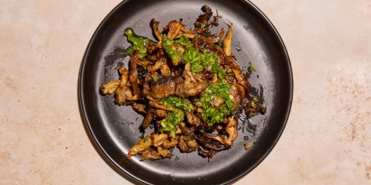 Blue Oyster Mushroom Tray