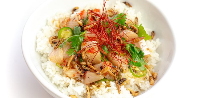 Truffle Yellowtail