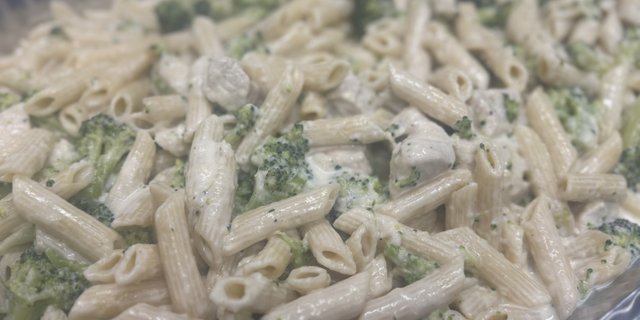 Chicken Broccoli Alfredo