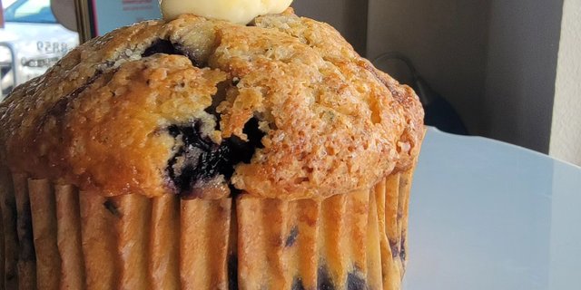 Seasonal Jumbo Muffin