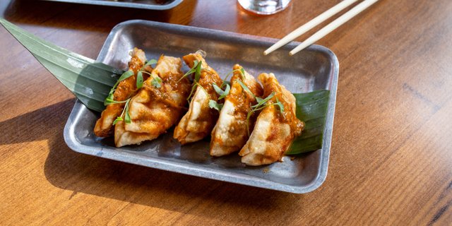 Meat Dumplings